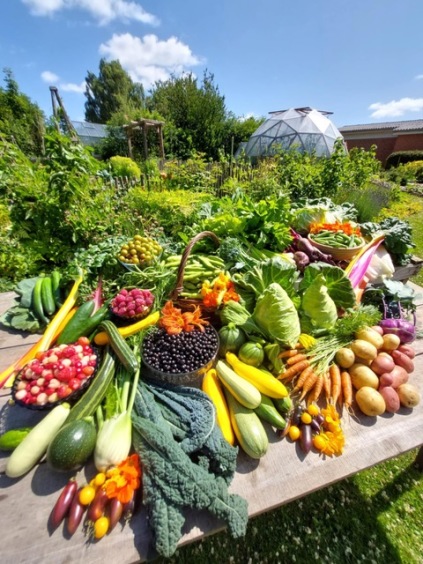 Bliv klogere på din køkkenhave og dens muligheder